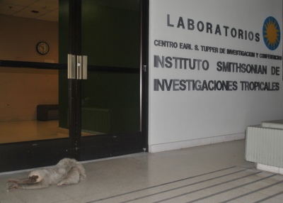 A late night visitor at the institute
